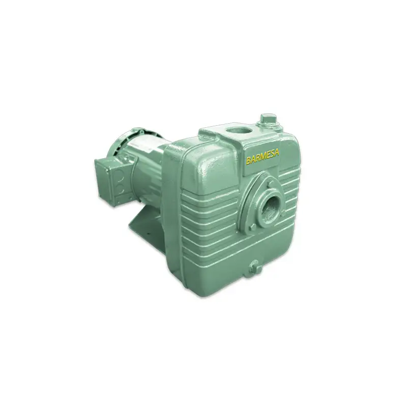 BOMBA AUTOCEBANTE MOTOR ELÉCTRICO, BSP5CCE3-BF, BARNES & ITEM-019271